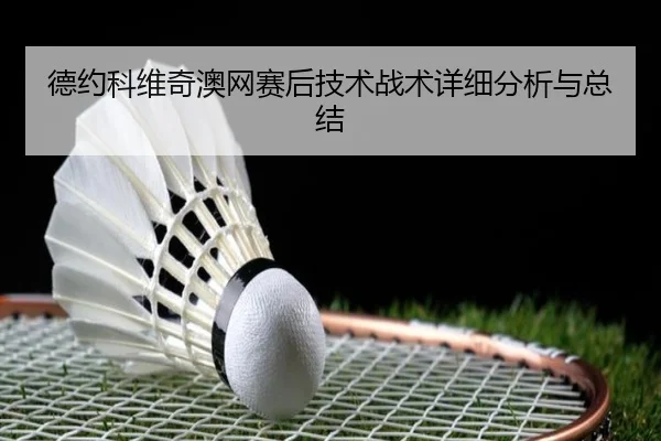 德约科维奇澳网赛后技术战术详细分析与总结