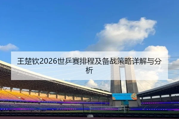 王楚钦2026世乒赛排程及备战策略详解与分析
